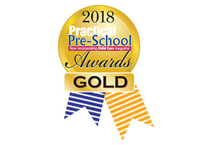 Practical preschool awards gold